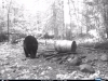 Ontario_Bear_Hunting-Pickerel_Lake_Outfitters2